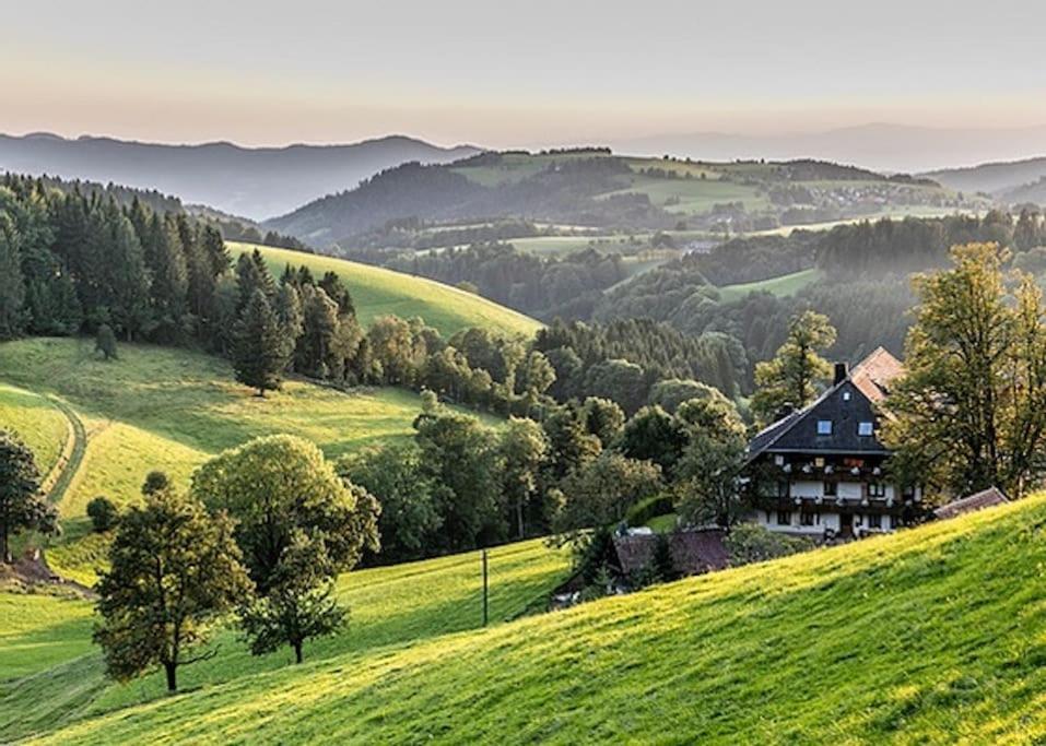 Ferienwohnung Niki Titisee-Neustadt Exteriér fotografie