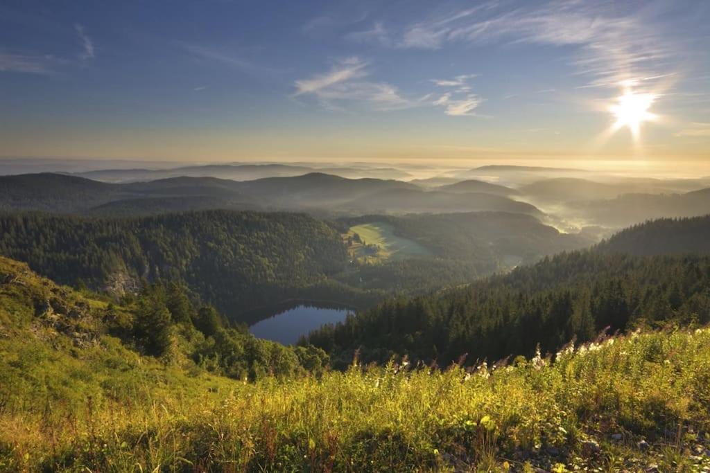 Ferienwohnung Niki Titisee-Neustadt Exteriér fotografie