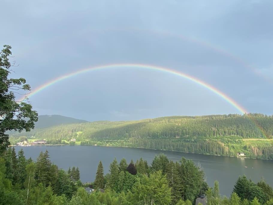 Ferienwohnung Niki Titisee-Neustadt Exteriér fotografie