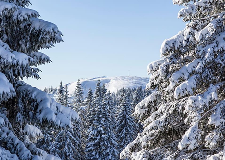 Ferienwohnung Niki Titisee-Neustadt Exteriér fotografie
