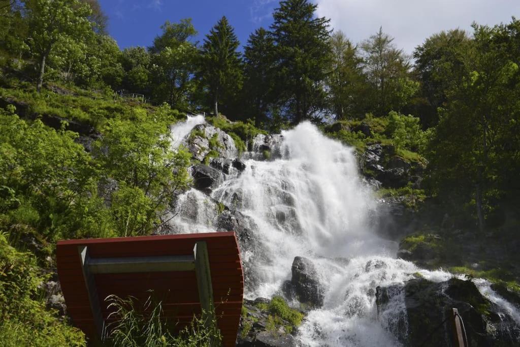 Ferienwohnung Niki Titisee-Neustadt Exteriér fotografie