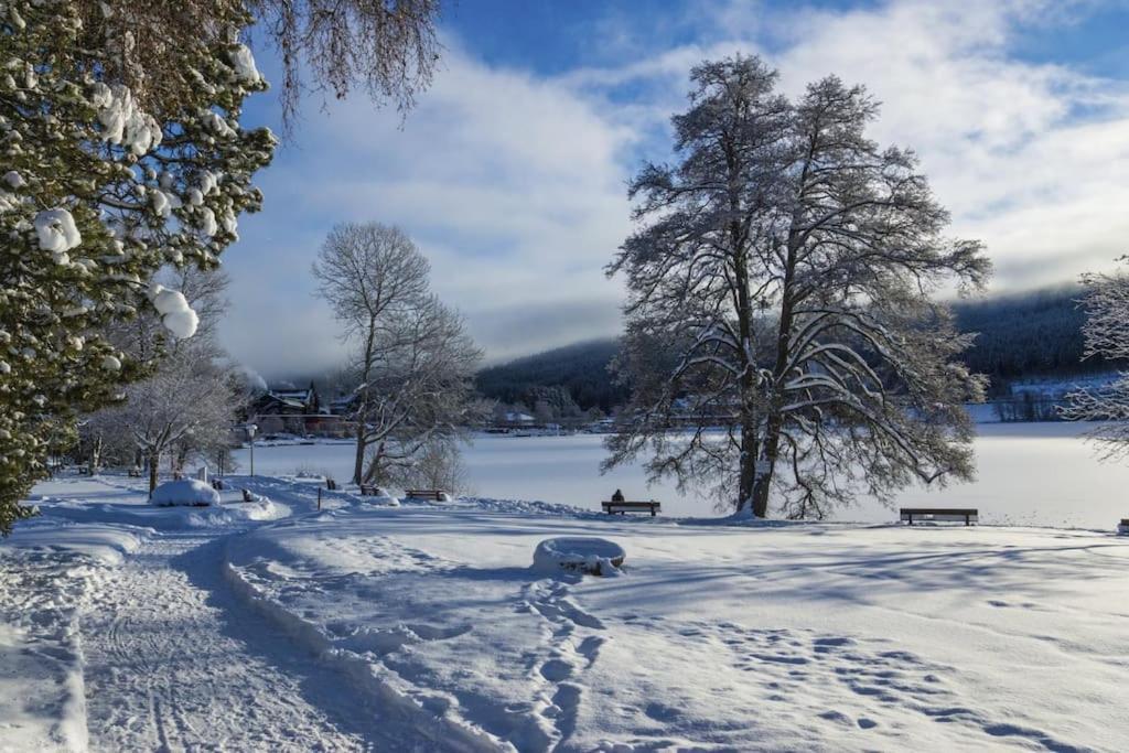 Ferienwohnung Niki Titisee-Neustadt Exteriér fotografie