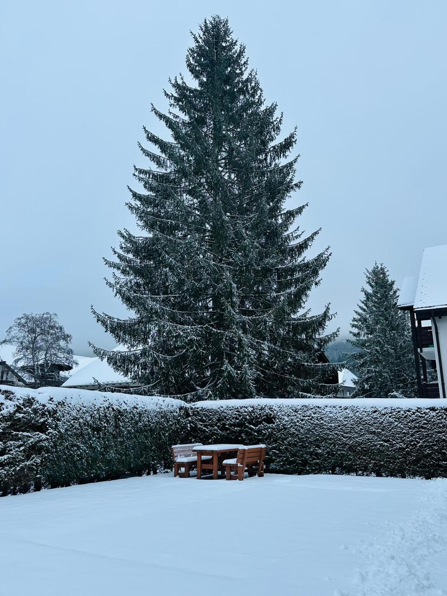 Ferienwohnung Niki Titisee-Neustadt Exteriér fotografie